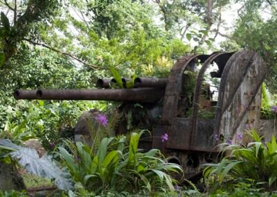 A rusted old tank is visible through beautiful, lush vegetation, trees and flowers