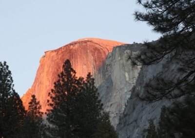Rockface and trees in Yosemite National Park, California