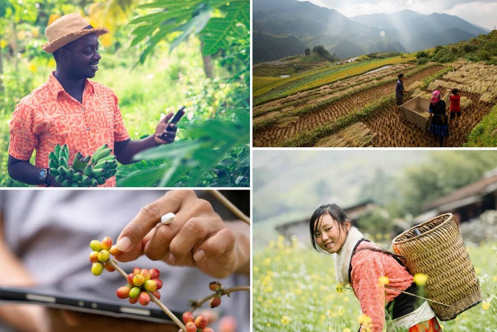 Scenes from farming and agriculture